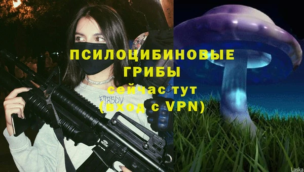 ГАЛЛЮЦИНОГЕННЫЕ ГРИБЫ Алексин