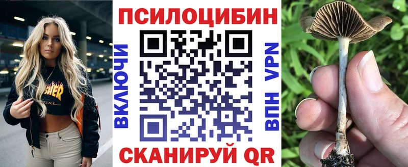 OMG онион Сураж Псилоцибиновые грибы прущие грибы